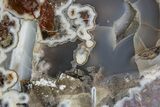 Polished Banded Agate Nodule Half - Wiley's Well, California #373392-1